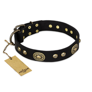"High Fashion" FDT Artisan Studded with Plates Black Leather Labrador Collar
