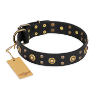 "Cosmic Glow" FDT Artisan Black Leather Labrador Collar with Brass-Plated Studs "Cosmic Glow" FDT Artisan Black Leather Labrador Collar with Brass-Plated Studs