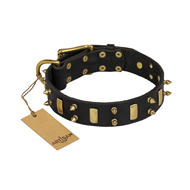 "Medieval Style" FDT Artisan Leather Labrador Collar with Brass Plated Plates and Spikes