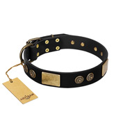 "Chicci-Glam" FDT Artisan Black Leather Labrador Collar with Plates and Ornate Studs