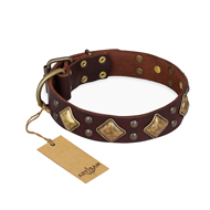 "Golden Square" FDT Artisan Brown Leather Labrador Collar with Large Squares