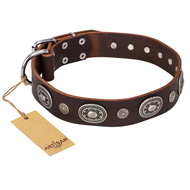 "Extra Pizzazz" FDT Artisan Adorned Brown Leather Labrador Collar "Extra Pizzazz" FDT Artisan Adorned Brown Leather Labrador Collar