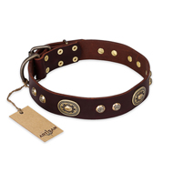 "Breath of Elegance" FDT Artisan Decorated with Plates Brown Leather Labrador Collar "Breath of Elegance" FDT Artisan Decorated with Plates Brown Leather Labrador Collar