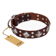 "King of Grace" FDT Artisan Stylish Leather Labrador Collar with Old Silver-Like Plated Decorations