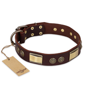 "Golden Stones" FDT Artisan Brown Leather Labrador Collar with Old Bronze Look Plates and Circles