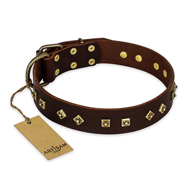 "Fashion Studs" FDT Artisan Decorated Leather Labrador Collar with Old Bronze-Plated Steel Hardware