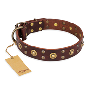 "Caprice of Fashion" FDT Artisan Brown Leather Labrador Collar with Round Decorations "Caprice of Fashion" FDT Artisan Brown Leather Labrador Collar with Round Decorations