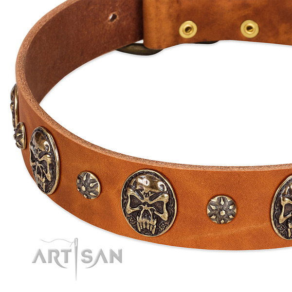 Corrosion resistant hardware on full grain natural leather dog collar for your doggie