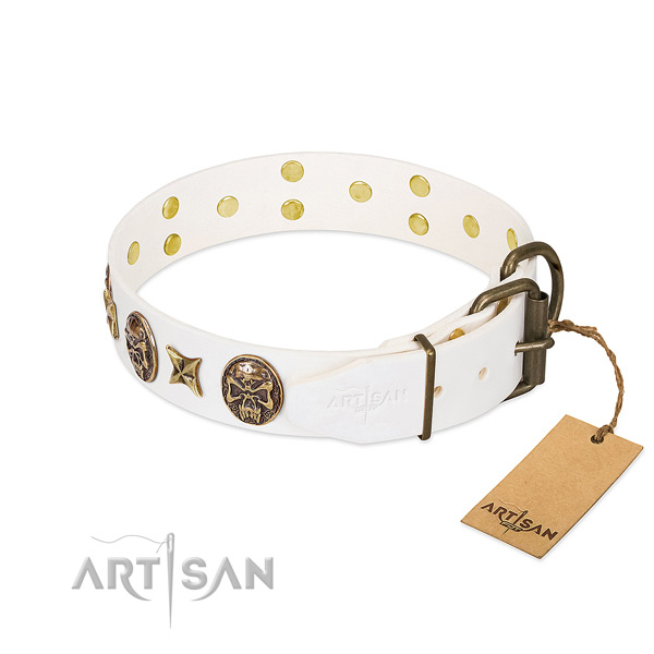 Corrosion proof buckle on genuine leather collar for stylish walking your canine