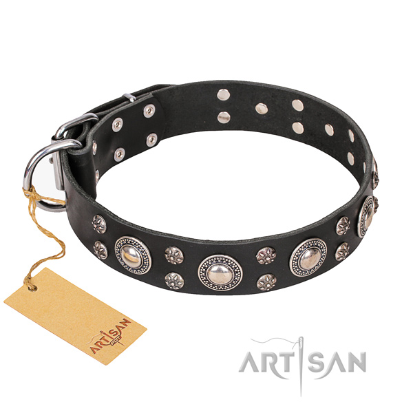 Comfy wearing dog collar of top quality leather with adornments