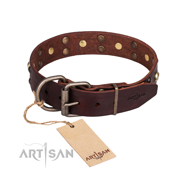 Daily use decorated dog collar of reliable genuine leather