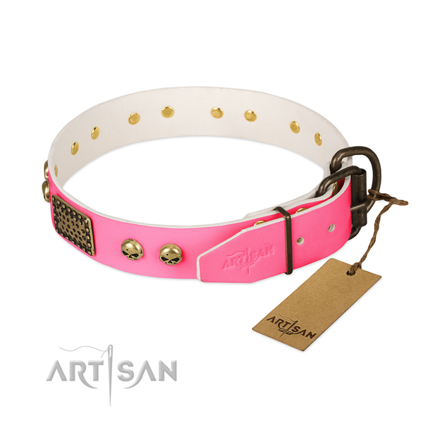 Strong traditional buckle on daily use dog collar