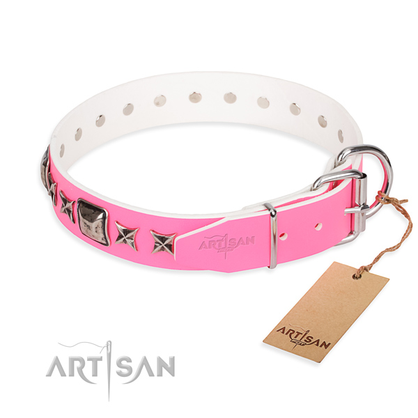 Reliable adorned dog collar of full grain genuine leather