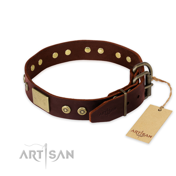 Rust-proof D-ring on walking dog collar