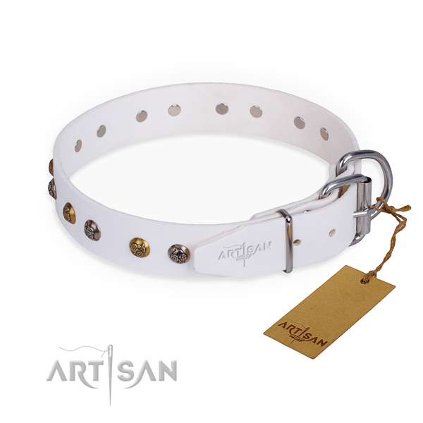 Leather dog collar with significant strong adornments