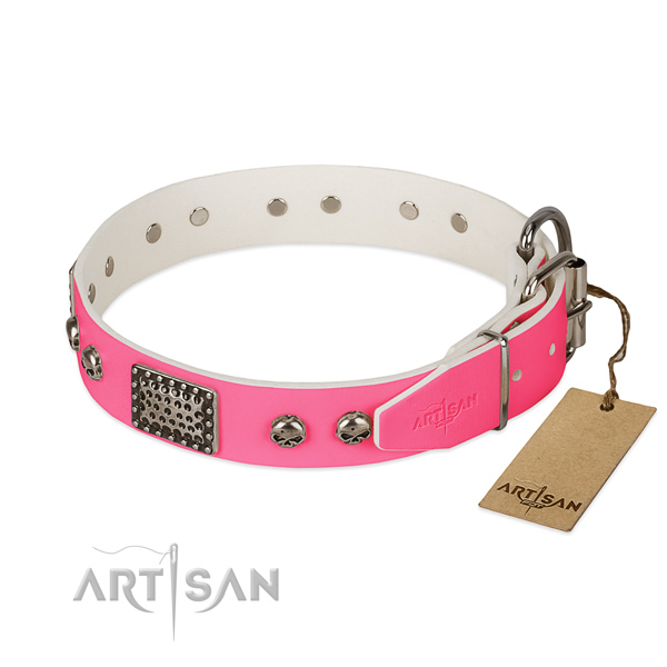 Rust resistant adornments on easy wearing dog collar