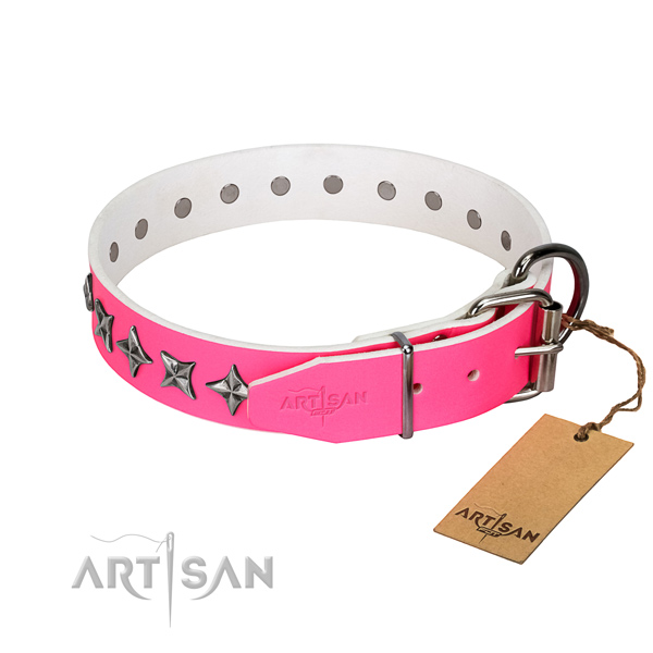 Durable full grain leather dog collar with top notch adornments