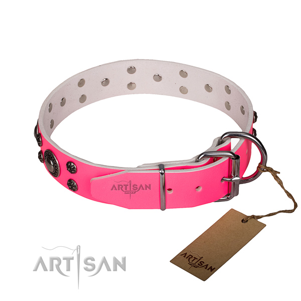 Fancy walking embellished dog collar of fine quality full grain leather