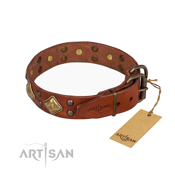 Leather dog collar with unique reliable adornments