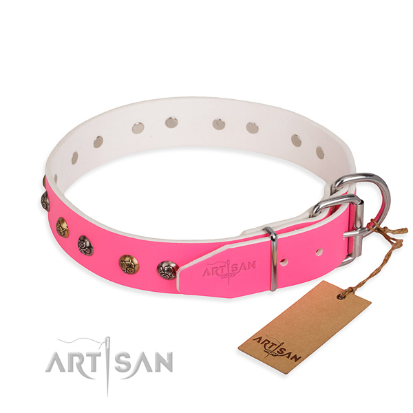 Genuine leather dog collar with exceptional strong embellishments