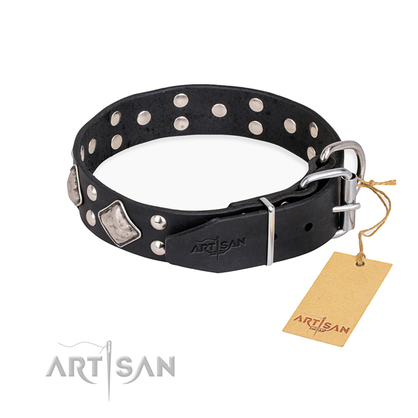 Genuine leather dog collar with exceptional strong embellishments