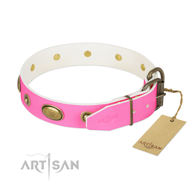 Durable adornments on genuine leather dog collar for your four-legged friend