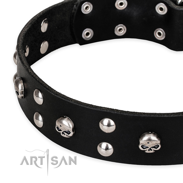 Everyday walking embellished dog collar of finest quality natural leather