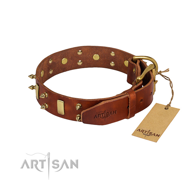 Comfy wearing adorned dog collar of reliable natural leather