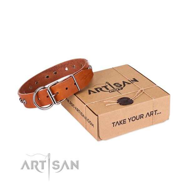 Strong decorations on dog collar for walking
