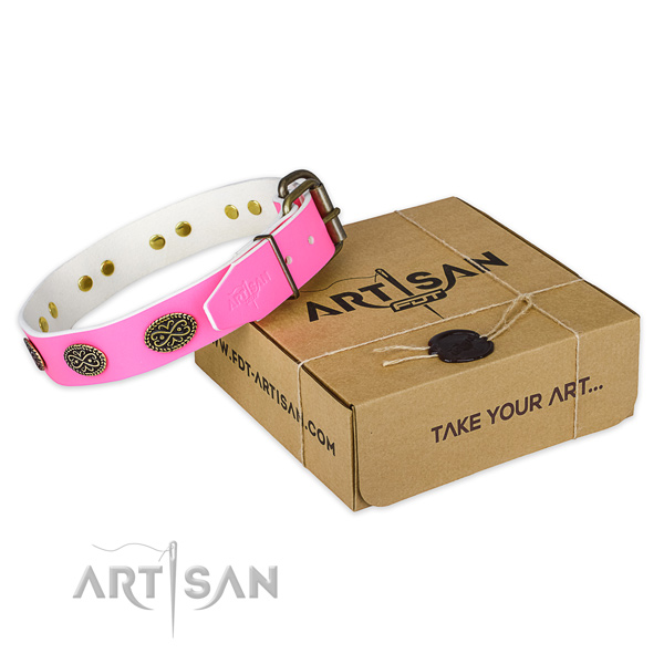 Reliable embellishments on dog collar for everyday walking