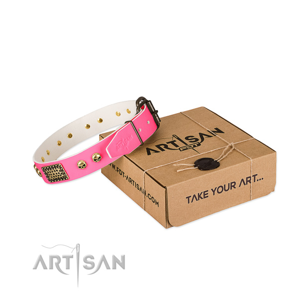 Durable traditional buckle on dog collar for comfy wearing