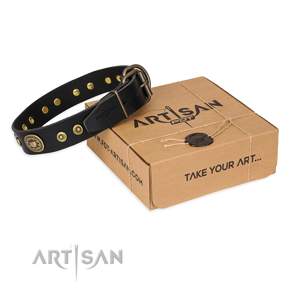Full grain leather dog collar made of quality material with reliable fittings