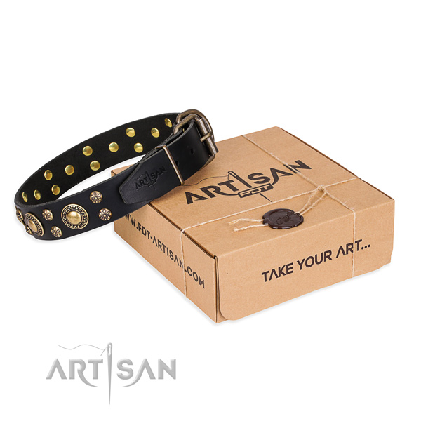 Comfortable wearing dog collar of best quality genuine leather with adornments