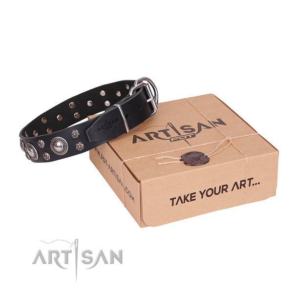 Daily walking dog collar of top quality genuine leather with embellishments