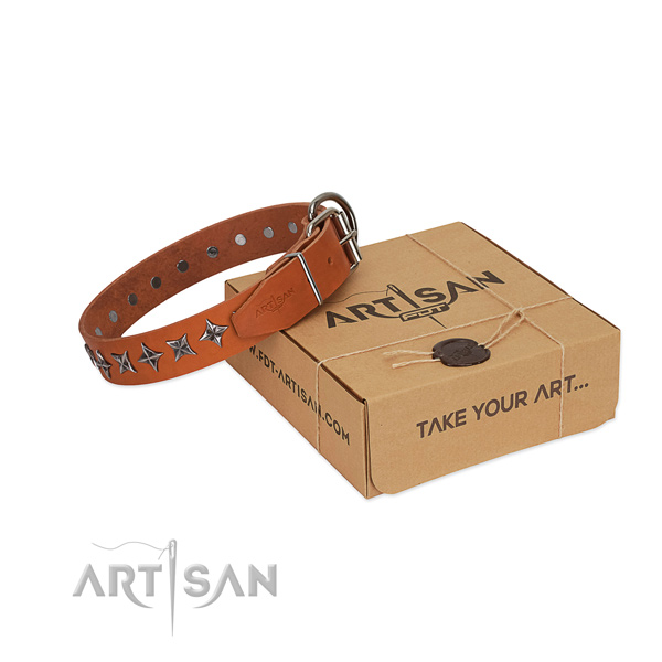 Fancy walking dog collar of high quality genuine leather with decorations