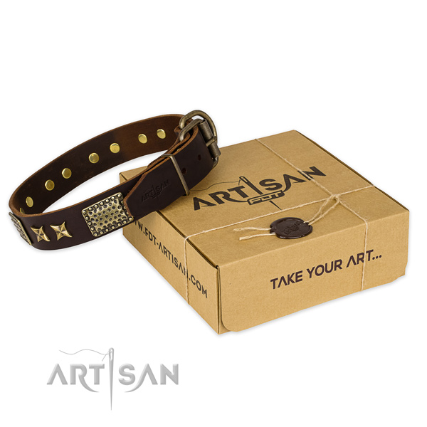 Corrosion resistant hardware on full grain leather collar for your stylish doggie