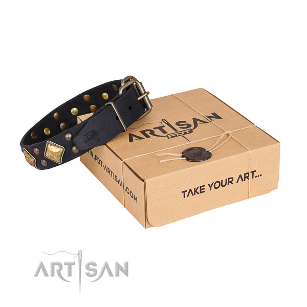 Walking dog collar with Remarkable reliable embellishments