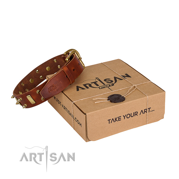 Everyday walking dog collar of durable full grain genuine leather with embellishments