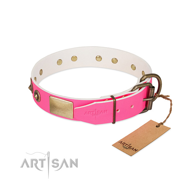 Corrosion resistant D-ring on genuine leather dog collar for your canine
