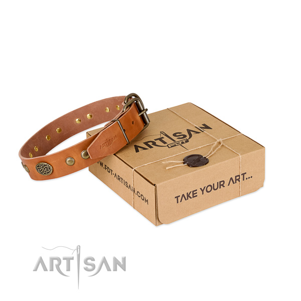 Reliable fittings on full grain leather dog collar for your canine