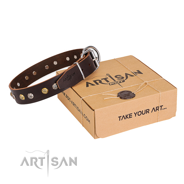 Soft genuine leather dog collar made for everyday walking