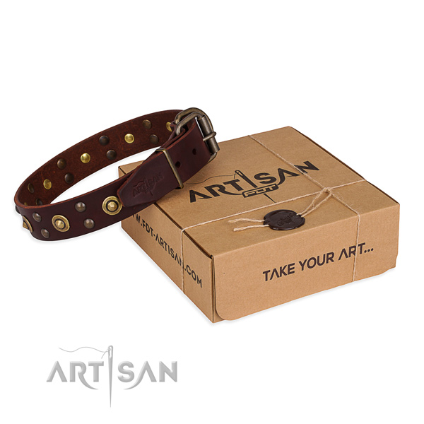 Strong fittings on full grain leather collar for your impressive dog
