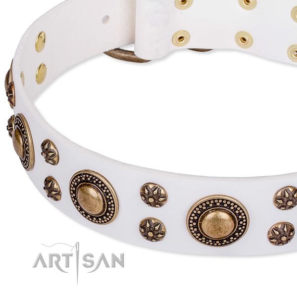 Everyday walking studded dog collar of top quality natural leather