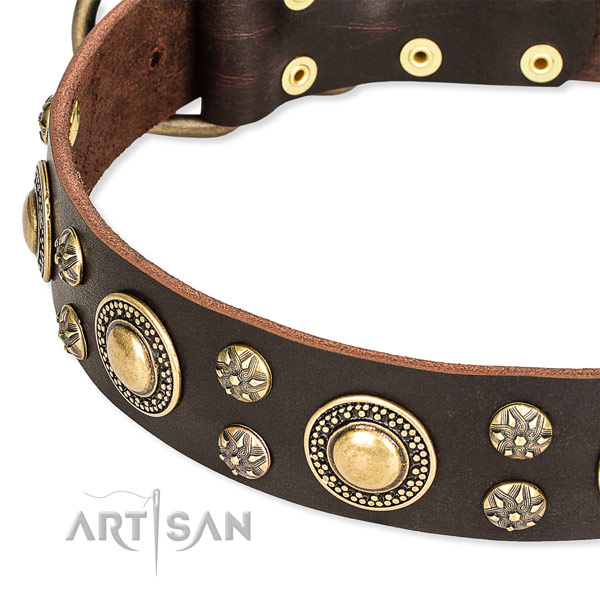 Fancy walking decorated dog collar of top quality full grain natural leather