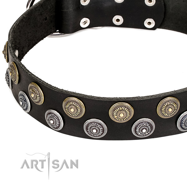 Handy use adorned dog collar of fine quality leather