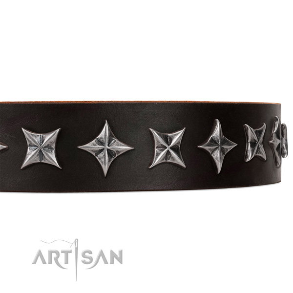 Everyday use adorned dog collar of quality natural leather