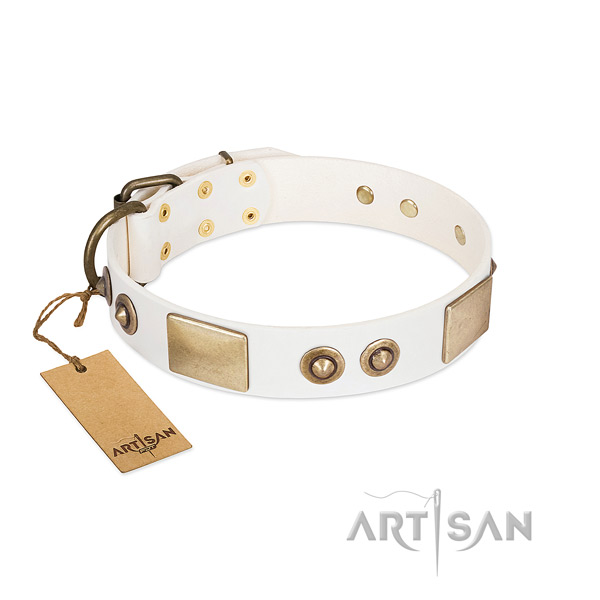 Rust resistant fittings on full grain natural leather dog collar for your doggie