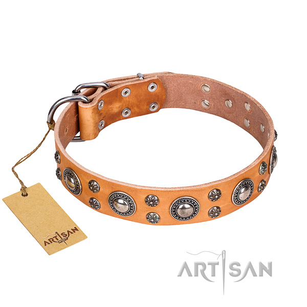 Fancy walking dog collar of high quality full grain genuine leather with decorations