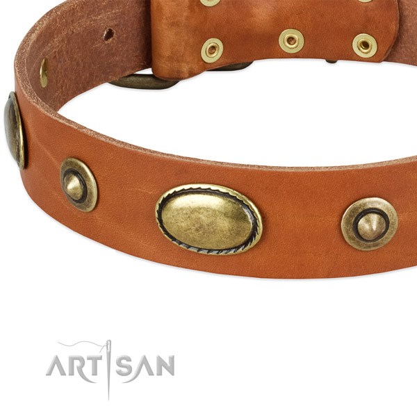Corrosion resistant decorations on full grain genuine leather dog collar for your four-legged friend