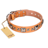 "Glamour Finery" FDT Artisan Female Labrador collar of natural leather with stylish old-looking circles